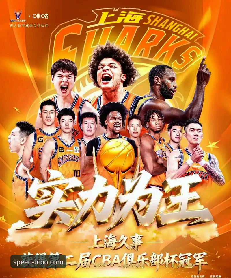 山西2-0横扫青岛晋级八强，揭秘这场CBA季后赛背后的必博体育体验真相